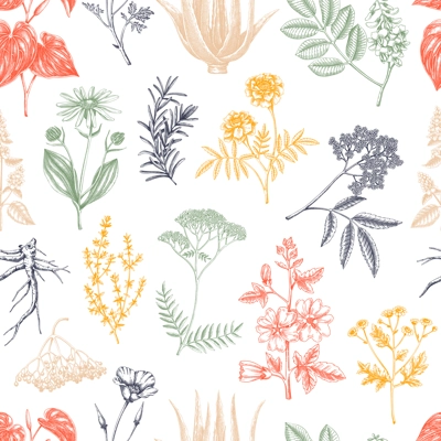Apothecary plant background. Medicinal herbs seamless pattern. Herbal remedies, natural medicine, Healing plants sketches. Hand-drawn vector illustration.NOT AI genereted